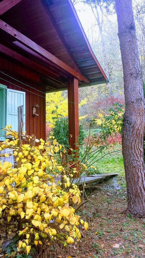 Rosehill Cottage Orbanyosfa Exterior photo